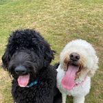 Marion Mace - @marionmace1 - Instagram