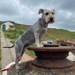 Marion Graham Manning-stannard - @grmez - Instagram