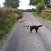 Marion Manning - Facebook