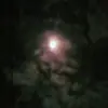 Marionmanuel - @marionmanuel5 - TikTok