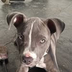 DaMarion Matlock - @damarionmatlock - Instagram