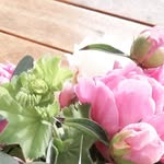Marion Mayer - @_marionmayer_ - Instagram