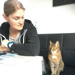 Marion Mayerhörmann - @marionmayerhormann - Instagram