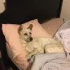 Mary Mccabe - @mary.mccabe6 - TikTok