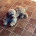 Marion McCann - Facebook