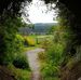 Marion McCann - Facebook