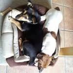 marion McCartney - @mccartneymarion - Instagram