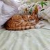 Marion McCartney - Facebook