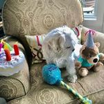 Marion McDonnell - @pepmcd - Instagram