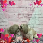 Marion McKee - @mckeemarion - Instagram