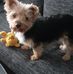 Marion Meier - Facebook
