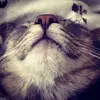 Marion Meier - @marion.meier4 - TikTok