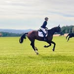 Marion Meier - @marion.meier1186 - Instagram