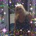 Marion Melton - Facebook