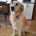 Marion Moritz - @maggiemo2908 - Instagram