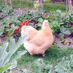 Marion Morse - @marion_morse47 - Instagram