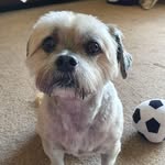 Marion C Newell - @newmaz98 - Instagram