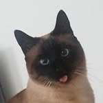 Marion Nollet - @marionnollet - Instagram