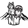 NMHSpisser - @northmarionpisser - TikTok