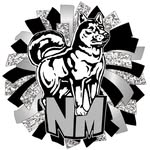 North Marion Cheer - @northmarioncheer - Instagram