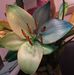 Marion Norton - Facebook
