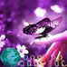 Marion Norton - Facebook