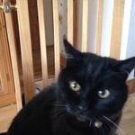 Marion O'Neill - @mariononeill2005 - Instagram