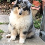 Mario nottoli - @mario.nottoli - Instagram