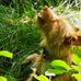 Marion Otto - Facebook