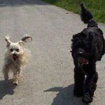 @marionotto68 - Instagram