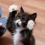 Marion Paul - @marion.paul.50746 - Instagram