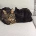 Marion Petry-Krause Achim Krause - Facebook