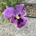 Marian Plummer - Facebook