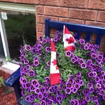 Marion Potter - @marionpotter6442 - Instagram