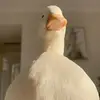 marionpotter - @marionpotter - TikTok