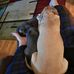 Marian Joyce Raymer - Facebook