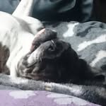 Marion Ritz - @marion.ritz.90 - Instagram