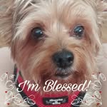 Marion Davis Rivers - @marion.rivers.9 - Instagram