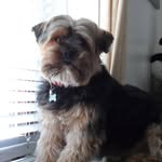 Marion Robb - @marion.robb.50 - Instagram