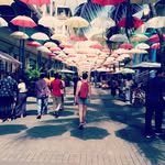 Marion Robert - @mrn.rbt - Instagram