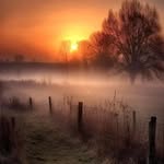 Marion Roth - @roth.marion75 - Instagram