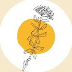 Marion Roth - Naturopathe & réflexologue - Senlis - @marionroth_naturoreflexo - Instagram