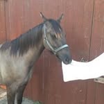 Marion Runge-Meyer - @marion5714 - Instagram