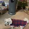 Marion Rush - @marion.rush05 - TikTok