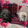 Marion Rushbrooke - @marion.rushbrooke - TikTok
