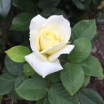 Marion Saunders - @marionsaunders1946 - Instagram
