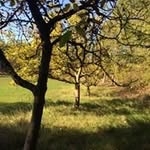 Marion Schäffer - @masch888 - Instagram