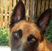 Marion Schell - Facebook