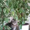 Marion Schmid836 - @marionschmid836 - TikTok