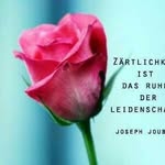 Marion Schroeder - @marionschroeder9532 - Instagram